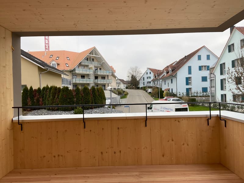 Grosszügige moderne 2.5-Zimmerwohnung (9)