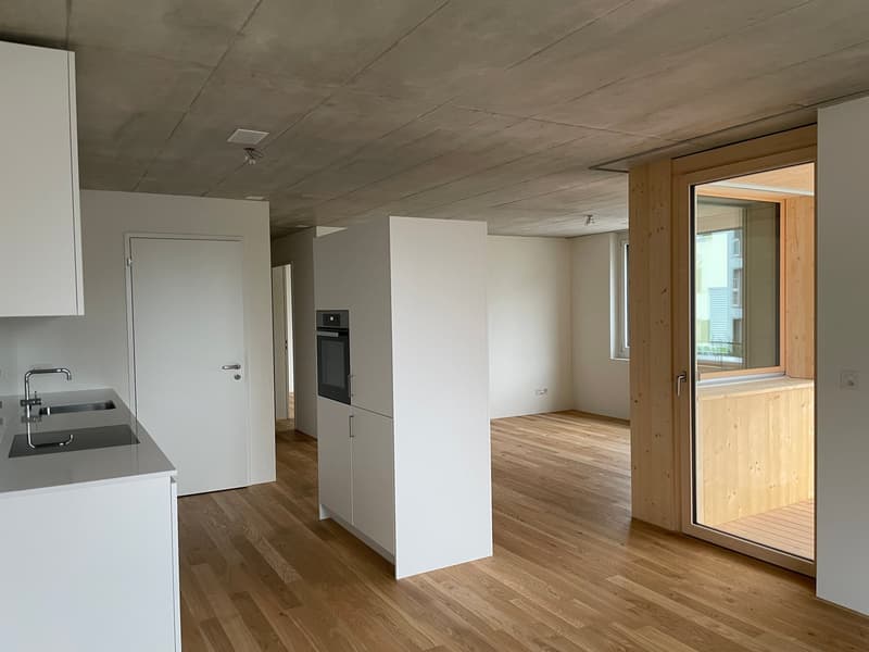 Grosszügige moderne 2.5-Zimmerwohnung (7)