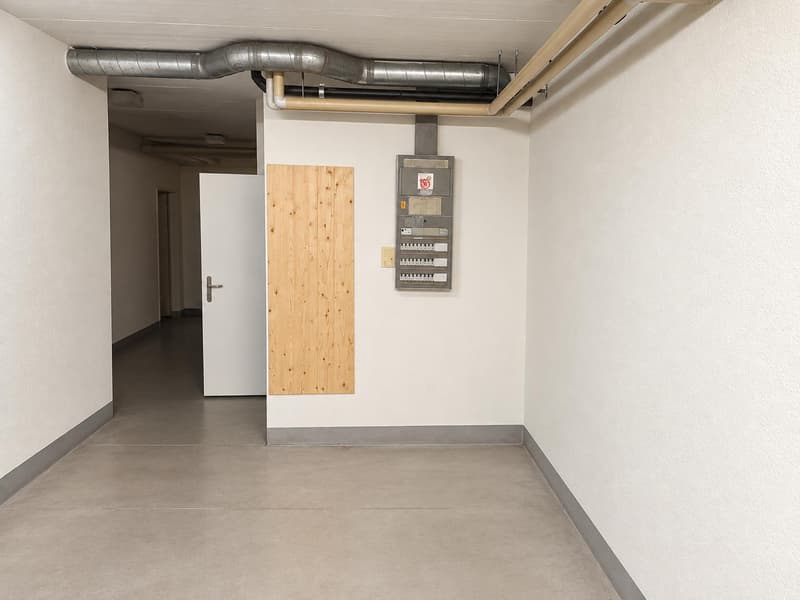 Vielseitige Gewerbefläche mit 140 m² in Lupfig zu vermieten (3)