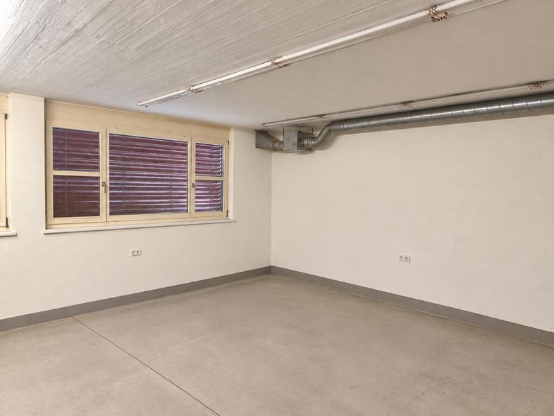 Vielseitige Gewerbefläche mit 140 m² in Lupfig zu vermieten (5)