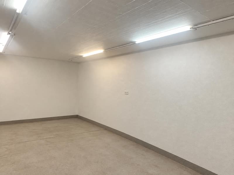 Vielseitige Gewerbefläche mit 140 m² in Lupfig zu vermieten (2)