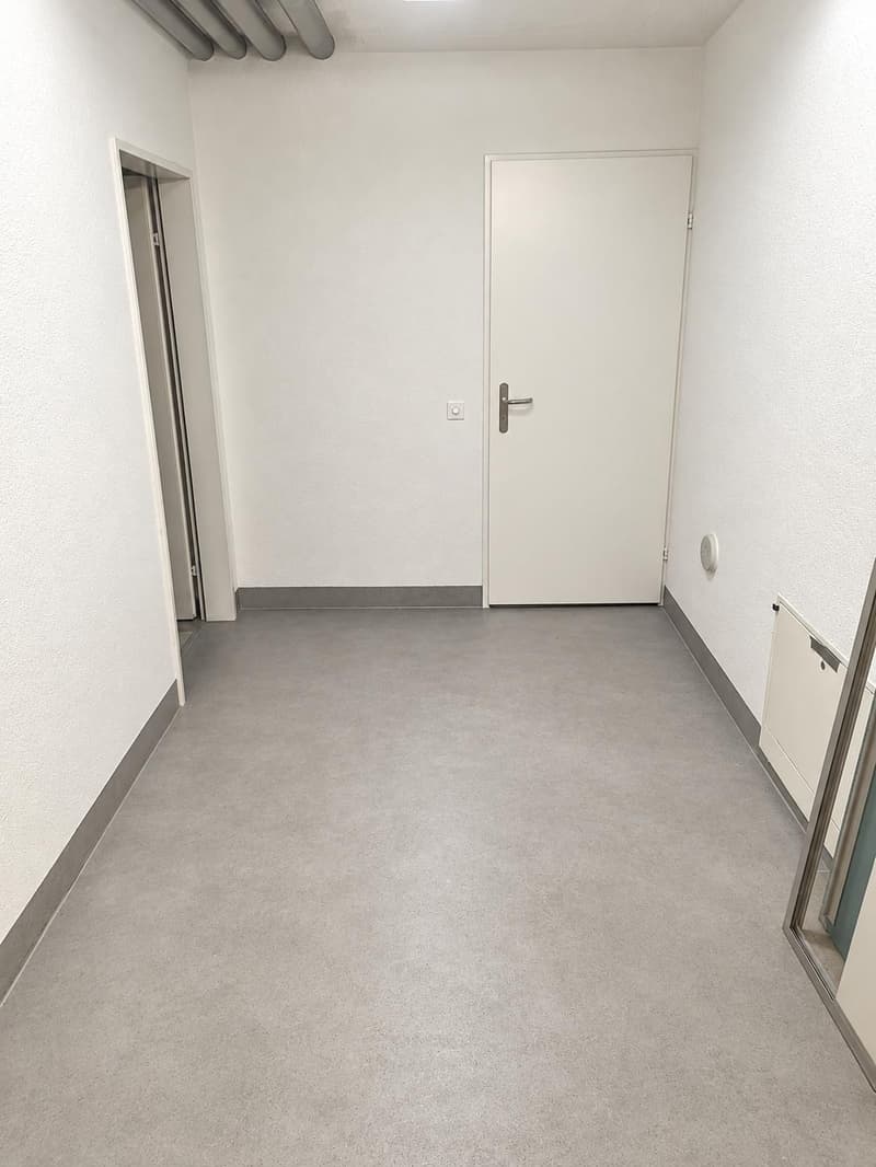 Vielseitige Gewerbefläche mit 140 m² in Lupfig zu vermieten (9)