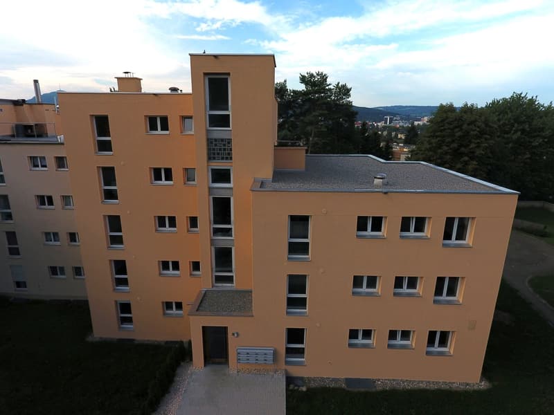 3.5-Zimmer-Wohnung in Unterengstringen zu vermieten! (14)