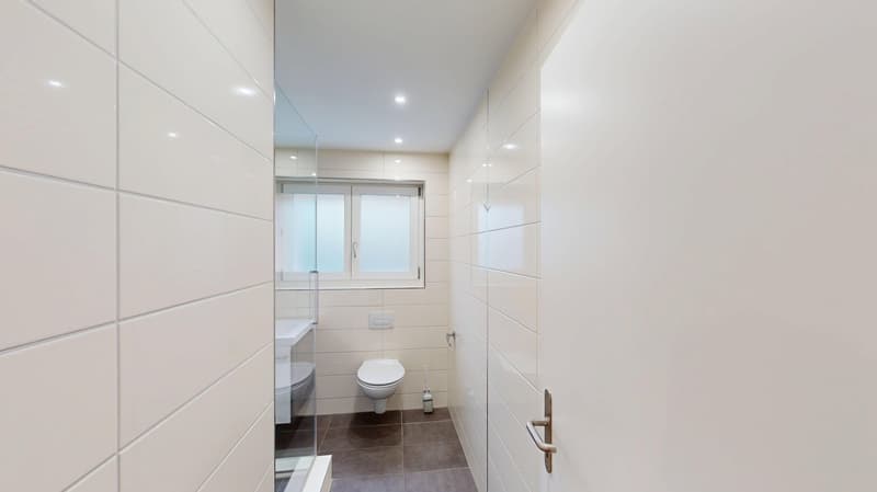 3.5-Zimmer-Wohnung in Unterengstringen zu vermieten! (10)