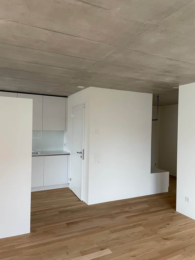 Grosszügige moderne 2.5-Zimmerwohnung (4)