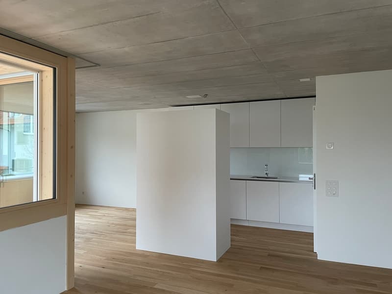 Grosszügige moderne 2.5-Zimmerwohnung (6)