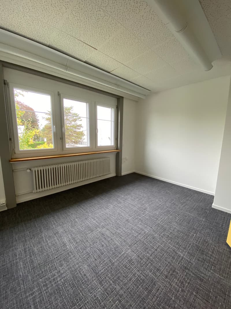 Ausgebaute Flächen 15 bis 235 m2 im Gewerbeareal Rüti Nord (3)