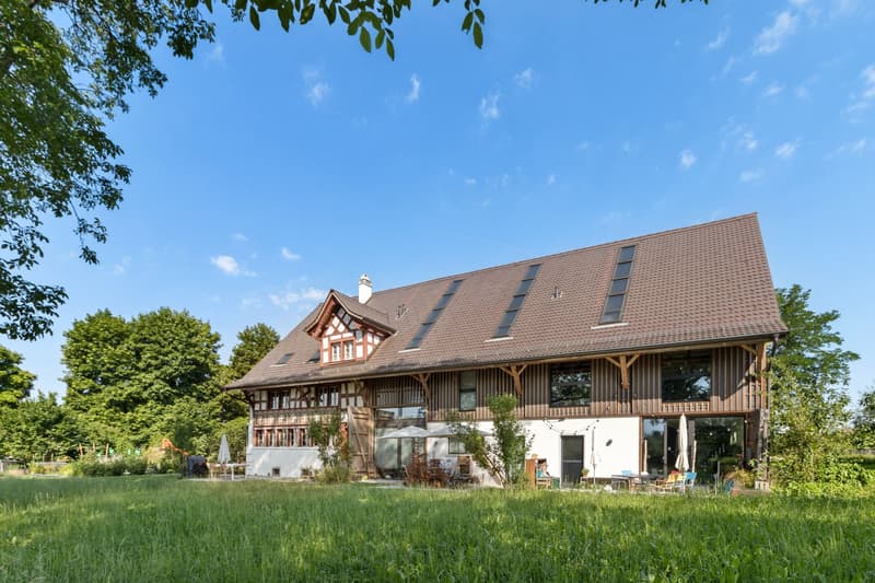 Charmante 3.5-Zimmer-Wohnung mit Balkon in Wetzikon (1)