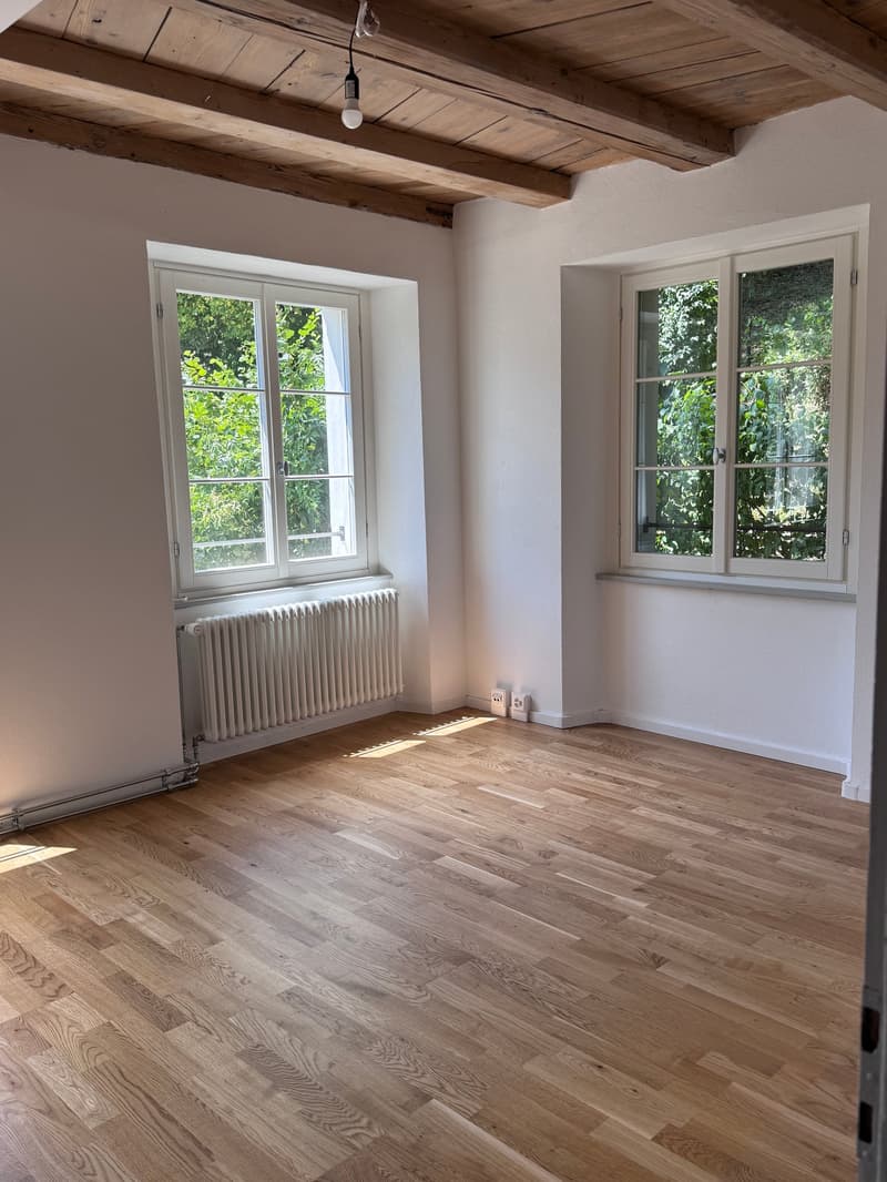 Einzigartiges und geschichtsträchtiges Juwel über den Dächern Baumas (3)