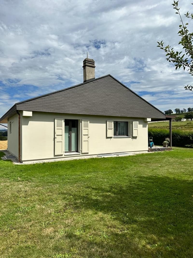 Magnificent fully renovated house (1)