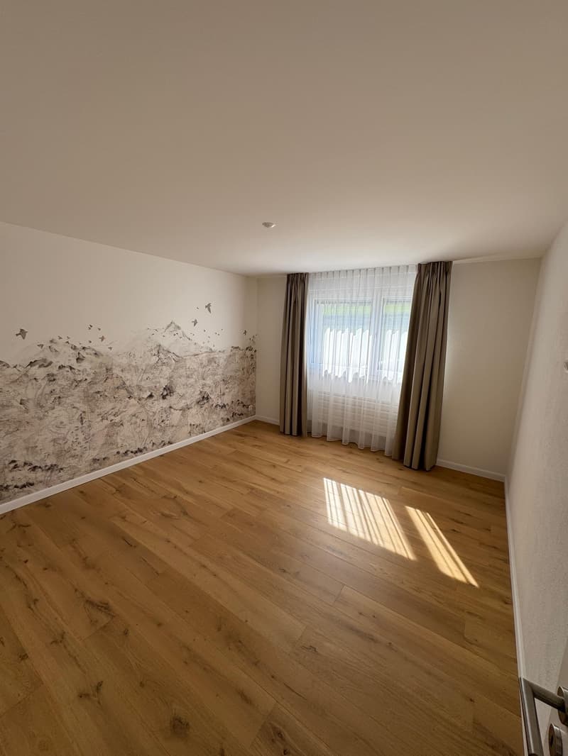 Magnificent fully renovated house (7)