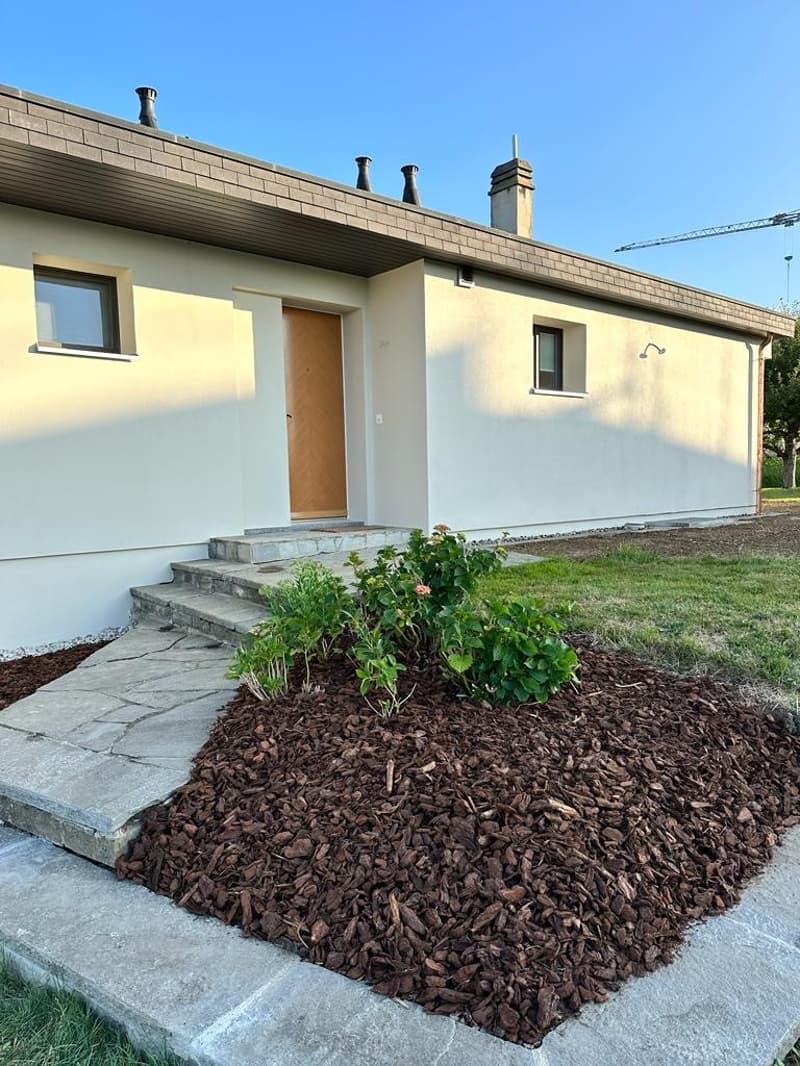 Magnificent fully renovated house (2)