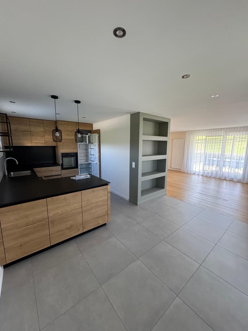 Magnificent fully renovated house (4)
