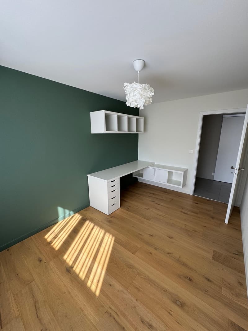 Magnificent fully renovated house (8)