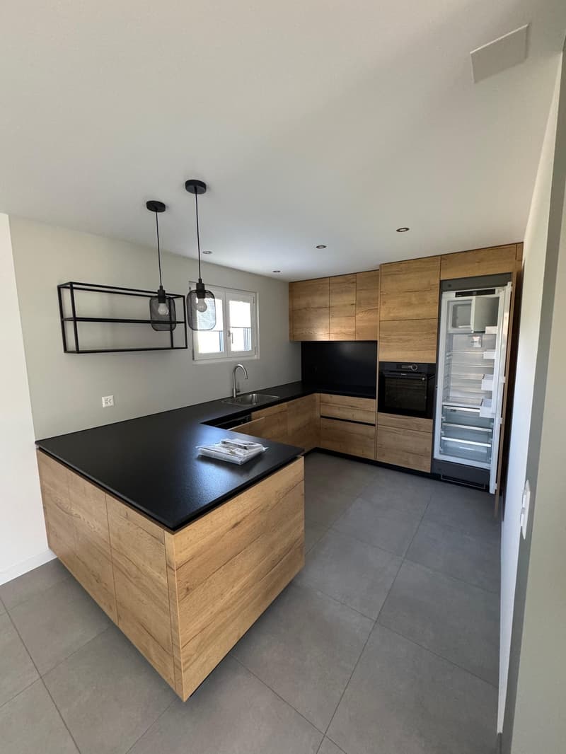 Magnificent fully renovated house (3)