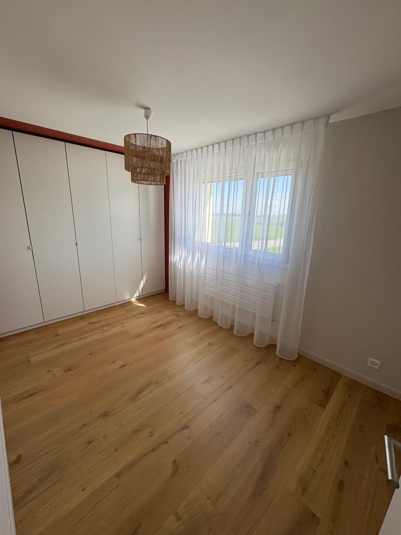 Magnificent fully renovated house (6)