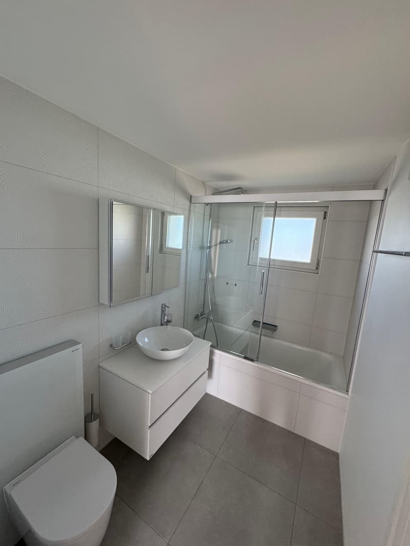 Magnificent fully renovated house (9)