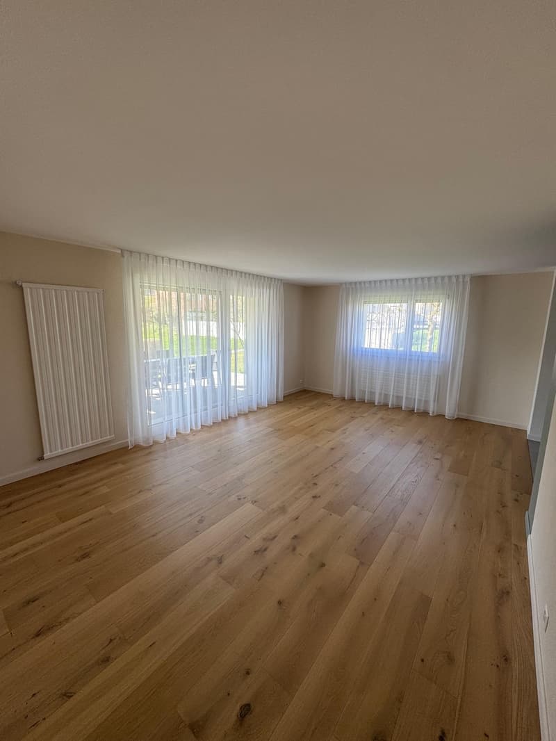 Magnificent fully renovated house (5)