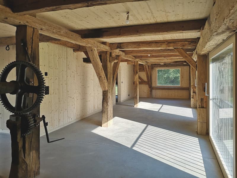 Beautiful unusual 3.5-room apartment on the ground floor (7)