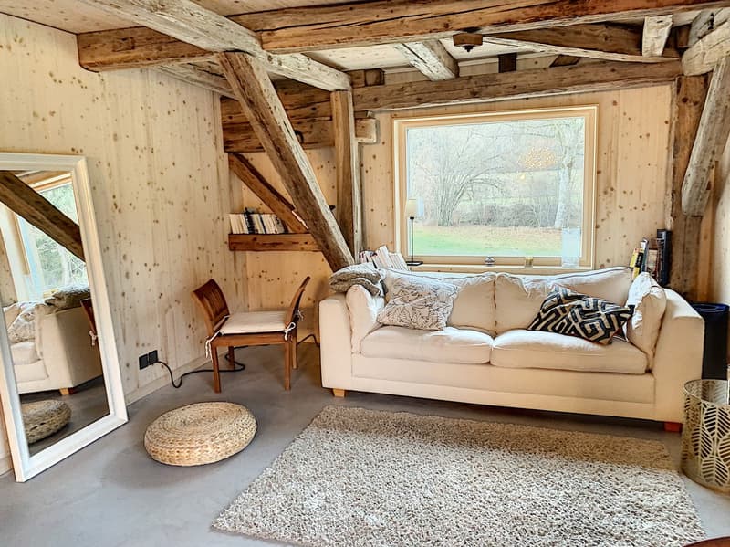 Beautiful unusual 3.5-room apartment on the ground floor (6)