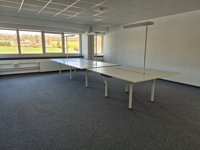 Bright and modular/divisible offices in a central location close to the highway (12)