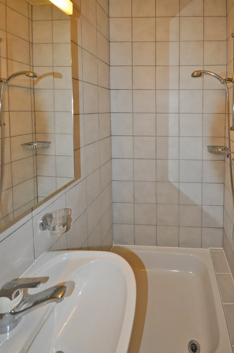 Appartement 2.5 pièces au rez (4)