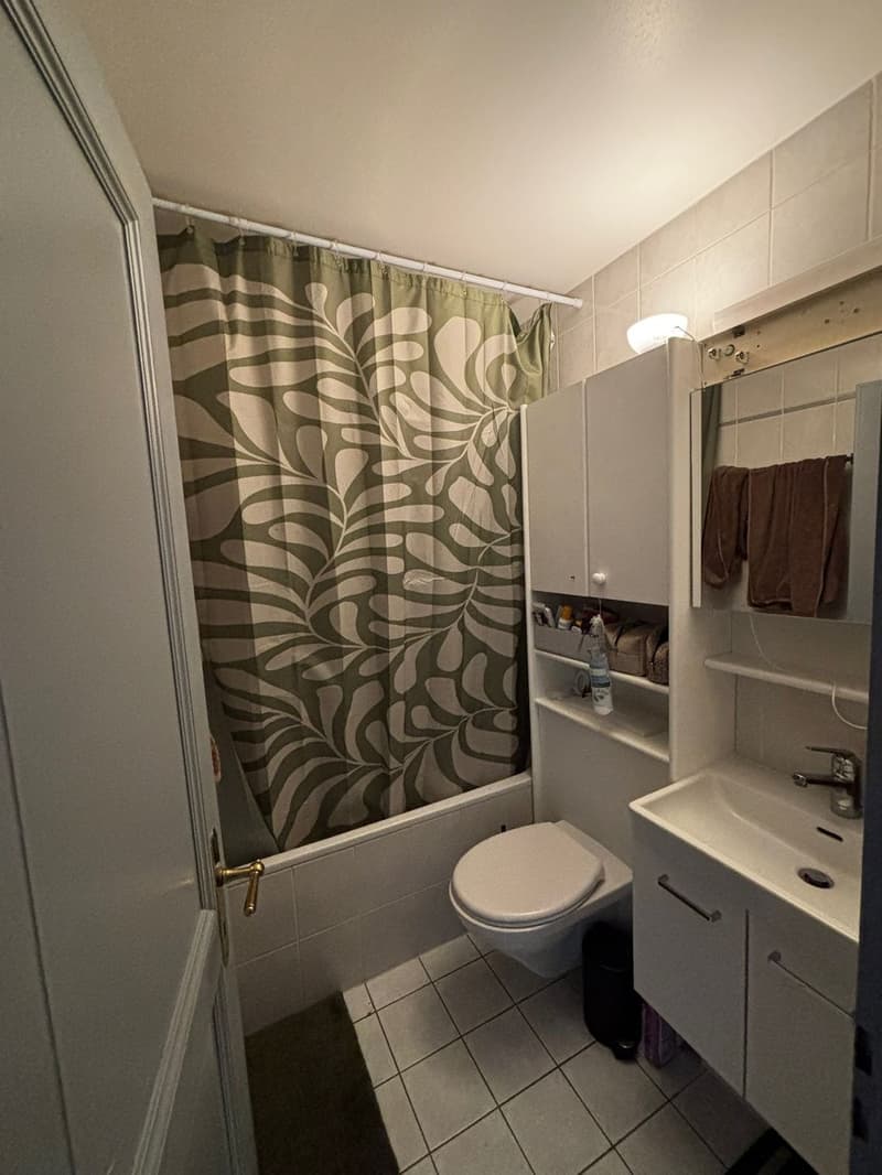 Appartement 2 pièces au 2ème étage (5)