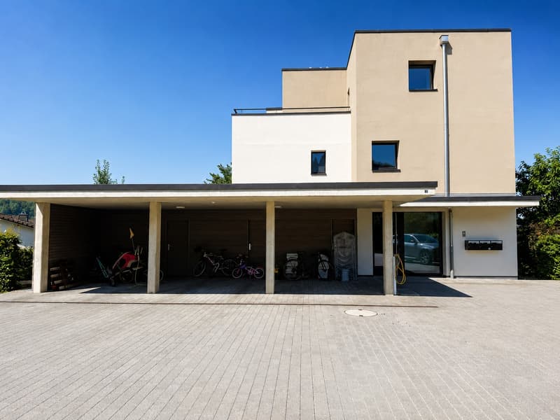 Appartamento magnifico di 4.5 locali con ampio balcone (3)