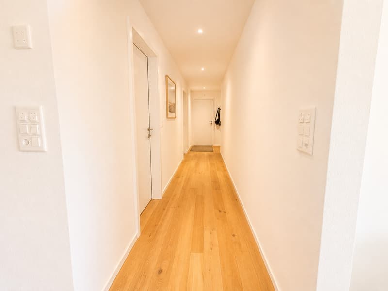 Appartamento magnifico di 4.5 locali con ampio balcone (10)