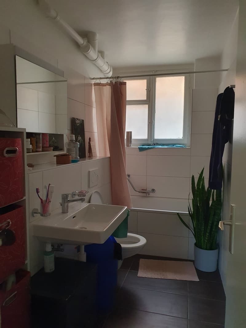 Appartement 1.5 pièces au 1er ss (2)