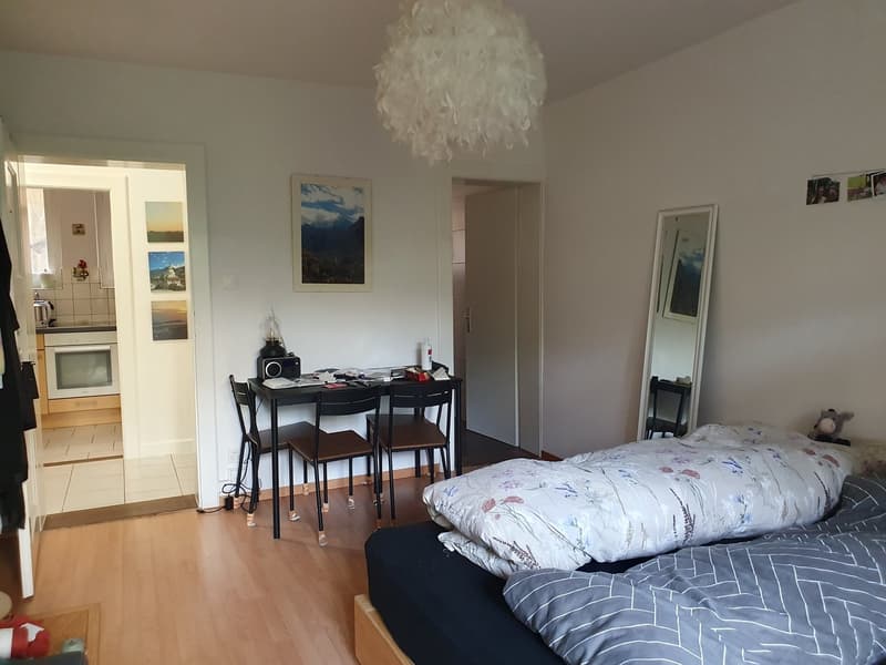 Appartement 1.5 pièces au 1er ss (1)