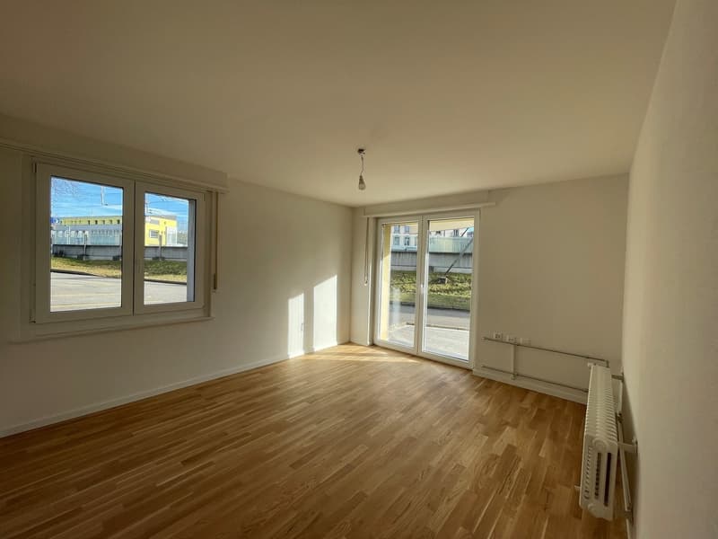 3.5 room apartment on the ground floor (3)