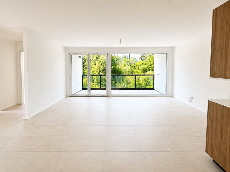 Appartement 4,5 pièces au 2e étage (2)