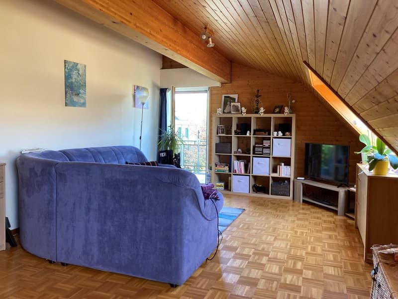Appartement 2 pièces au 3ème (3)