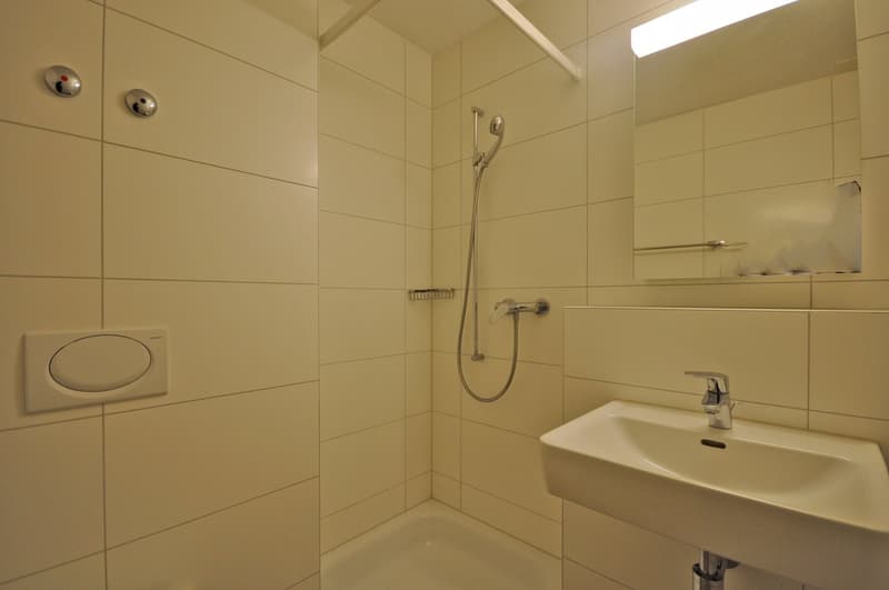 Appartement 2.5 pièces au 7ème étage (3)