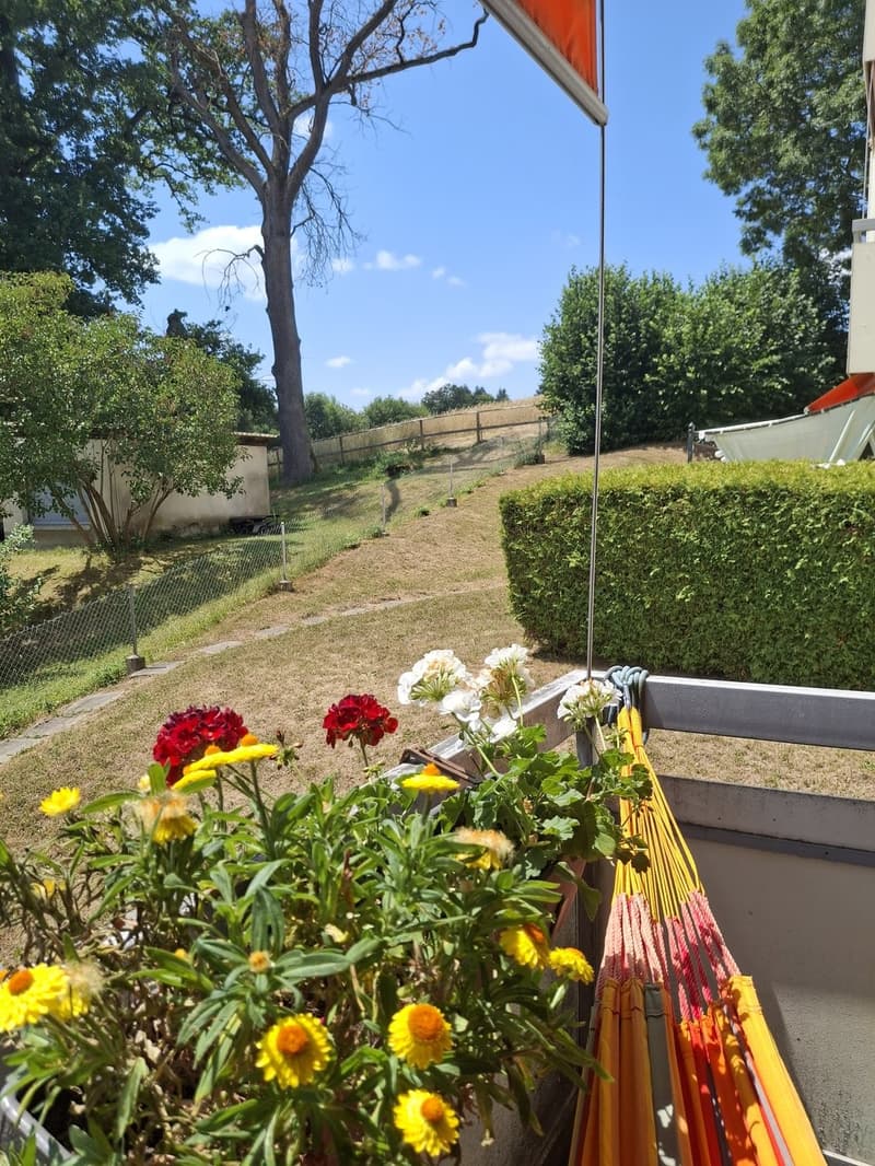5.5 pièces au rez (9)