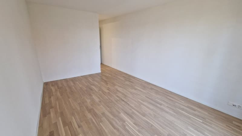 Appartement 3.5 pièces au rez (7)