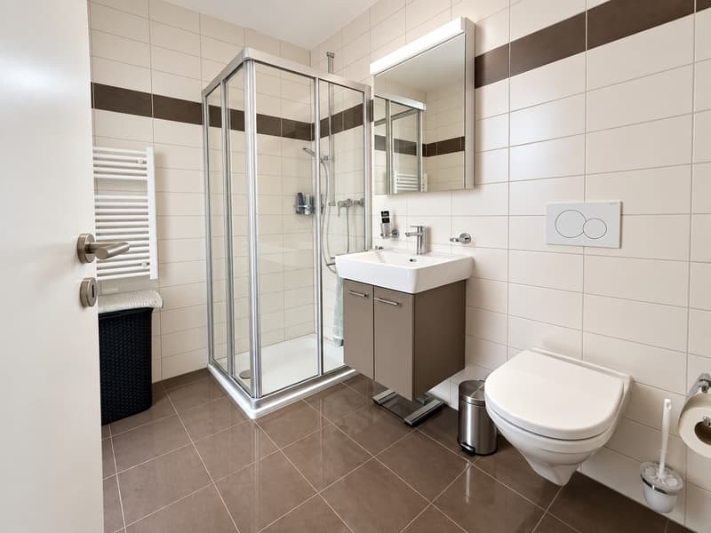 Magnifique appartement de 3,5 pièces (7)