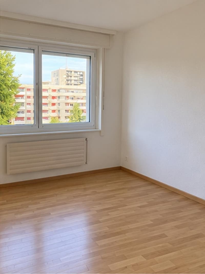 Appartement 3 pièces au 3ème (4)