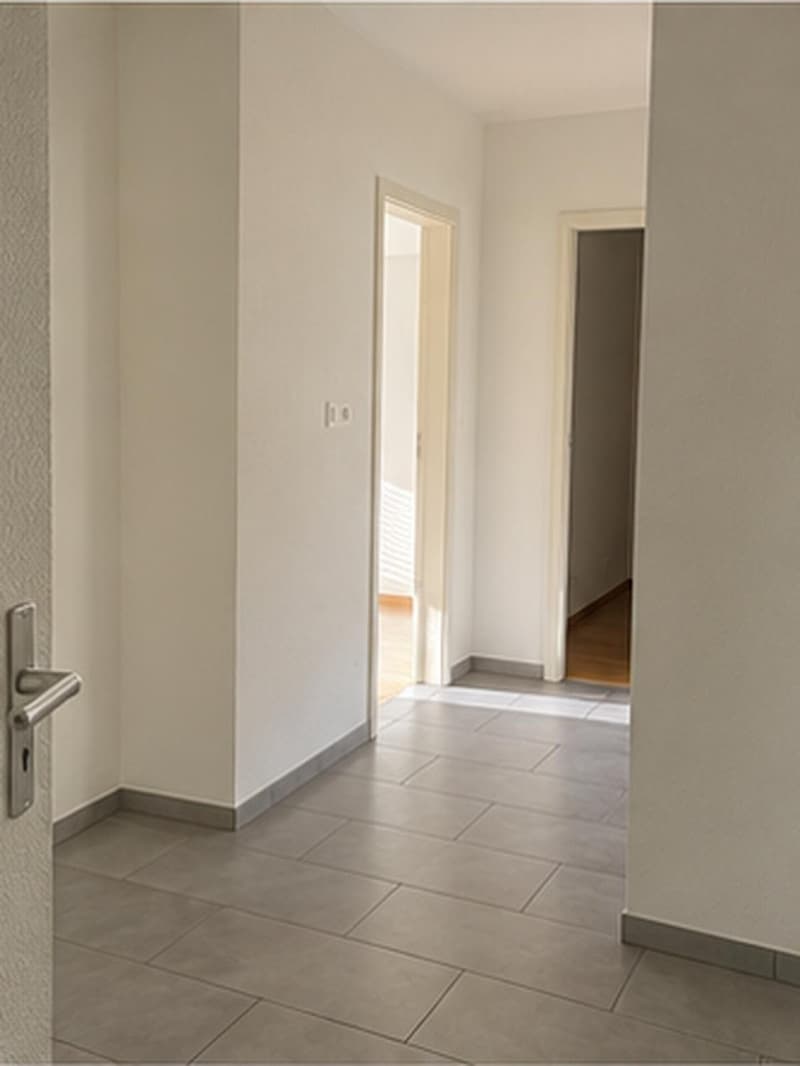 Appartement 3 pièces au 3ème (2)