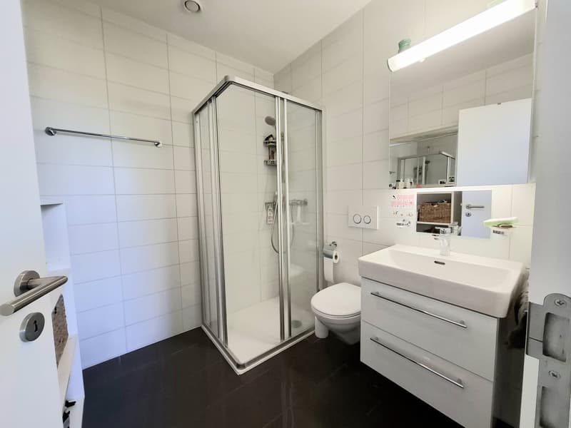 Appartement 4.5 pièces au 3ème étage (4)