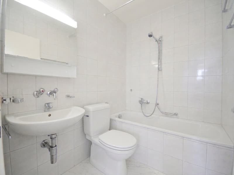 Appartement 3,5 pièces 2ème (5)