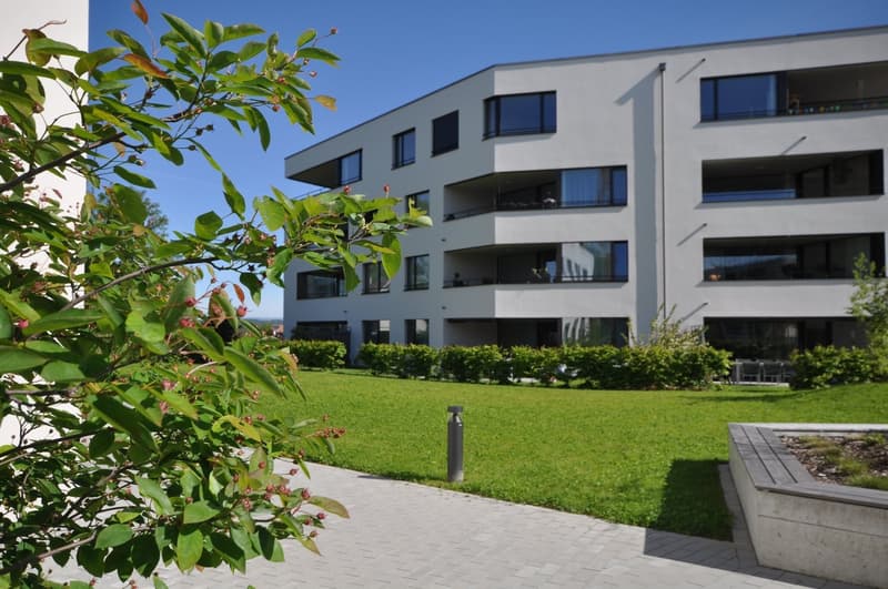 Moderne und grosszügige 5.5-Zimmer-Wohnung im Brieglipark in Düdingen (2)