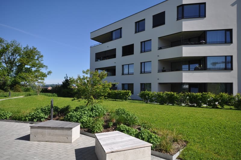 Moderne und grosszügige 5.5-Zimmer-Wohnung im Brieglipark in Düdingen (1)