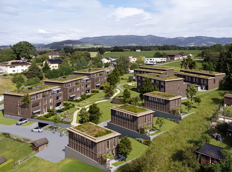 4 attiques de 4,5 pièces, modulables en grands 3,5 pièces (4)