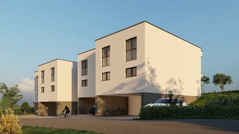 More than 3 villas! Come visit the construction site! (11)