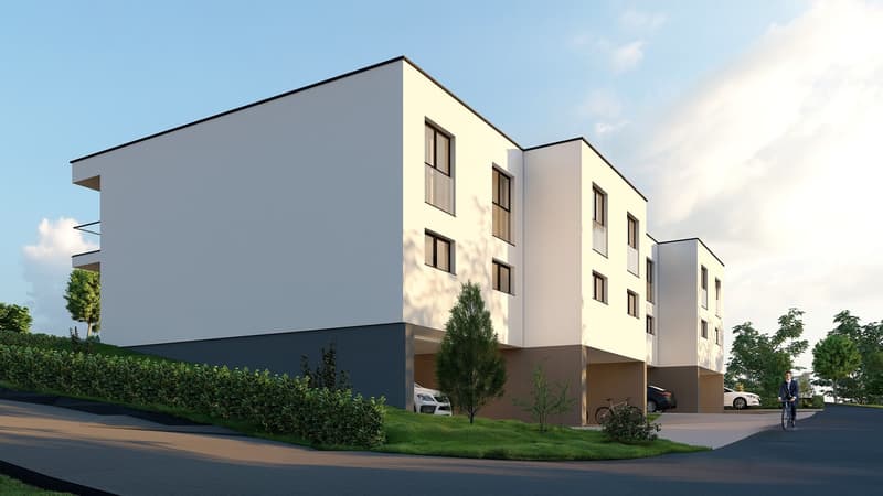 More than 3 villas! Come visit the construction site! (12)