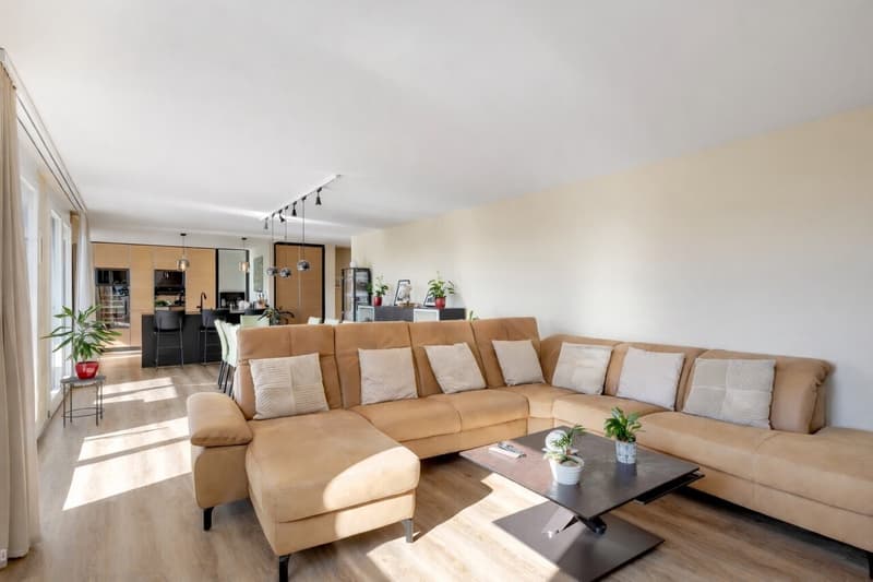 Beautiful 150 m2 apartment, renovated (6)