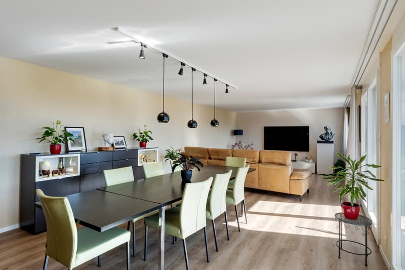 Beautiful 150 m2 apartment, renovated (8)