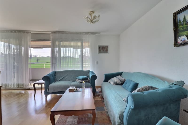 Appartamento 4½ locali balcone sud - ultimo piano (2)